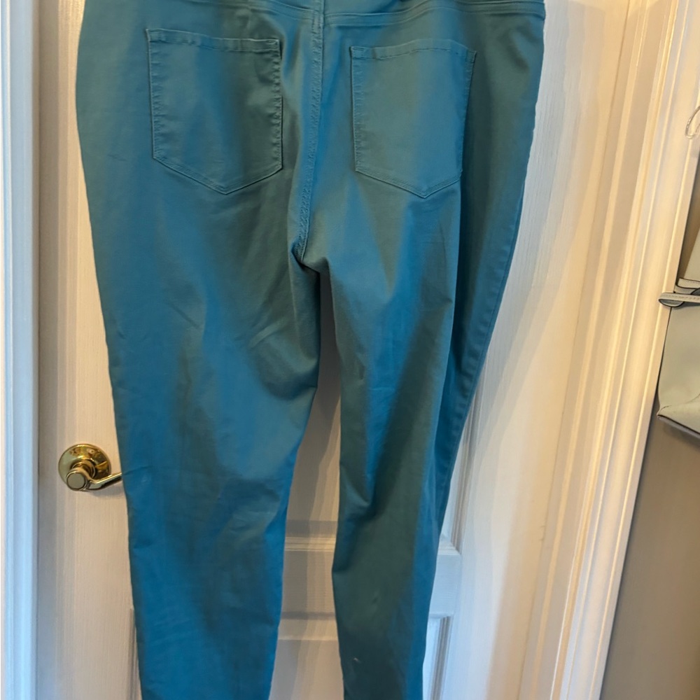 Teal Skinny Pants